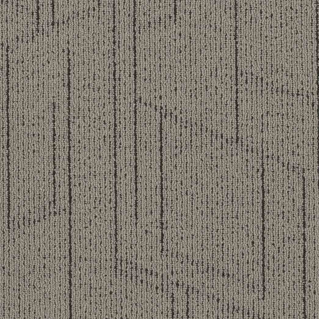 Shaw Philadelphia Commercial Carpet Tile Modernist 54945 Trendy 00100