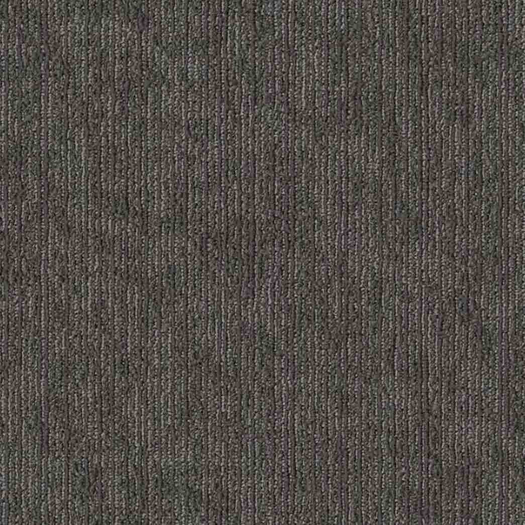 Shaw Philadelphia Commercial Carpet Tile Mottled 54945 Ground Fog 00500