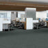 Shaw Philadelphia Commercial Carpet Tile Mottled 54945 Jaded Grove 00300 room