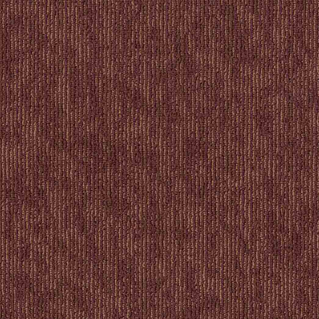 Shaw Philadelphia Commercial Carpet Tile Mottled 54945 Wild Currant 00800