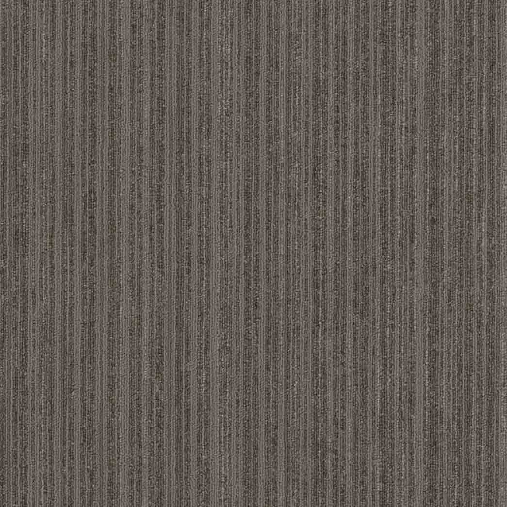 Shaw Philadelphia Commercial Carpet Tile Novelty 54965 Ingenious 65505