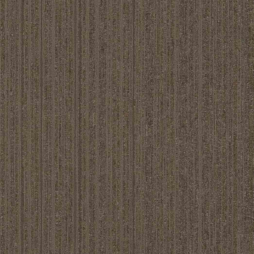 Shaw Philadelphia Commercial Carpet Tile Novelty 54965 Original 65700