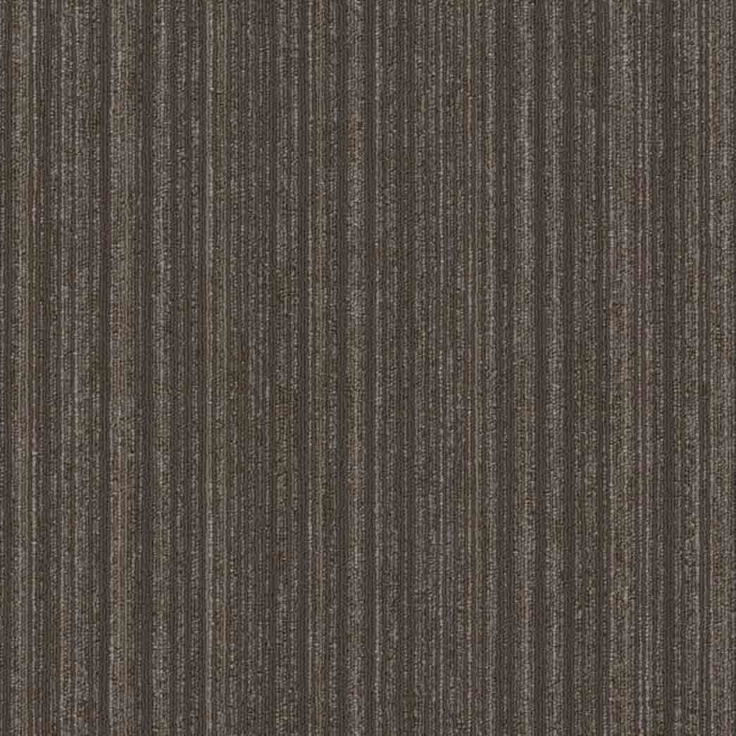 Shaw Philadelphia Commercial Carpet Tile Novelty 54965 Resolve 65525