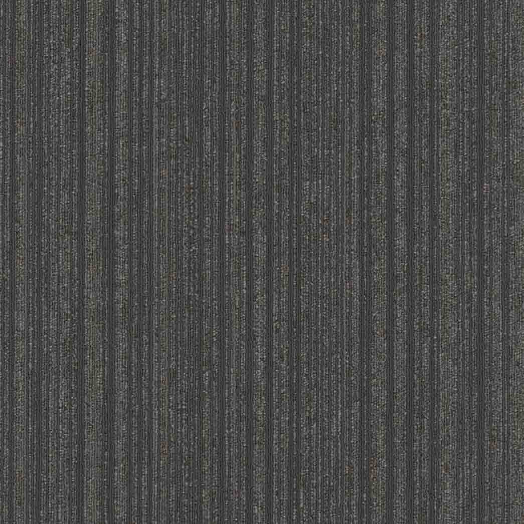 Shaw Philadelphia Commercial Carpet Tile Novelty 54965 Vigor 65530