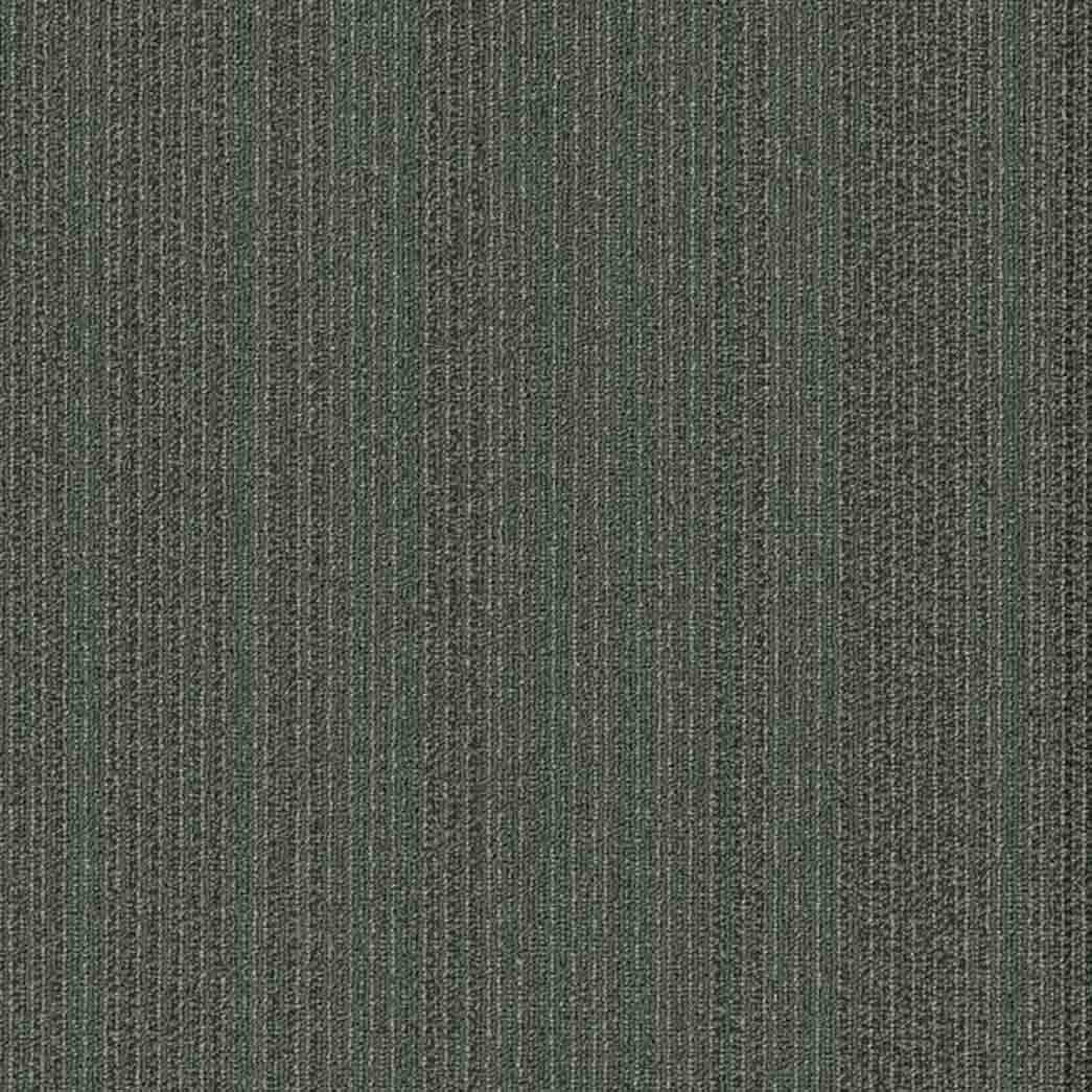 Shaw Philadelphia Commercial Carpet Tile Practical 54924 Astute 24505