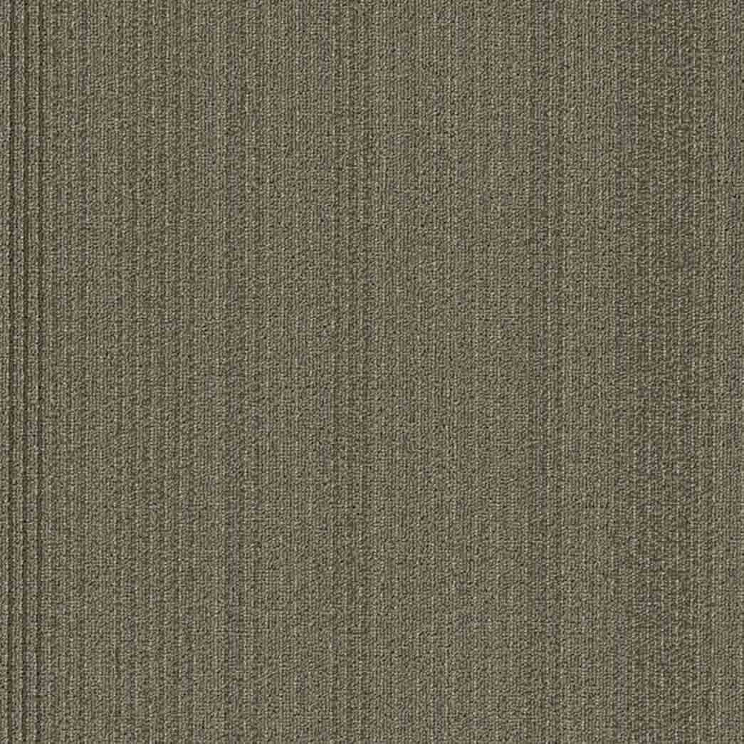 Shaw Philadelphia Commercial Carpet Tile Practical 54924 Effective 24200
