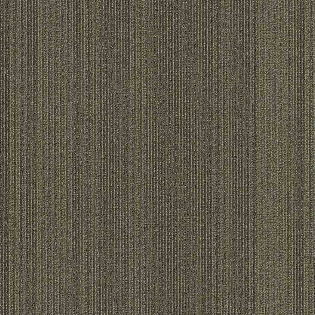 Shaw Philadelphia Commercial Carpet Tile Practical 54924 Feasible 24710