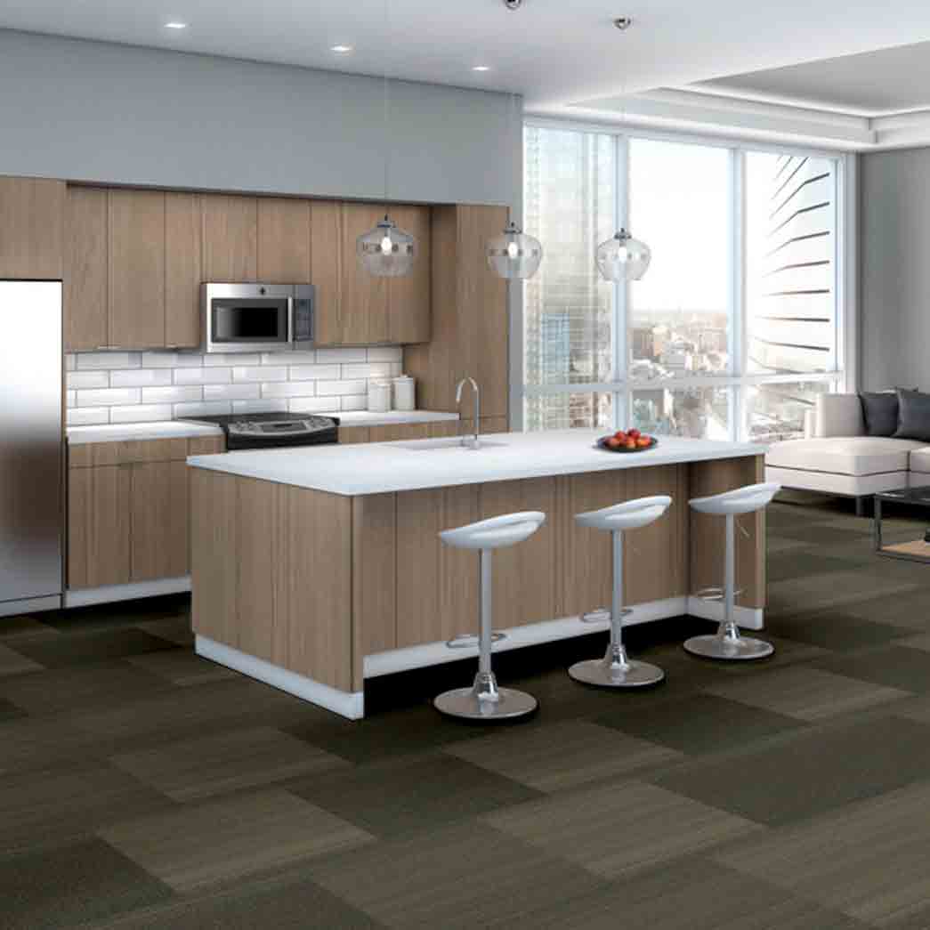 Shaw Philadelphia Commercial Carpet Tile Practical 54924 Feasible 24710 room