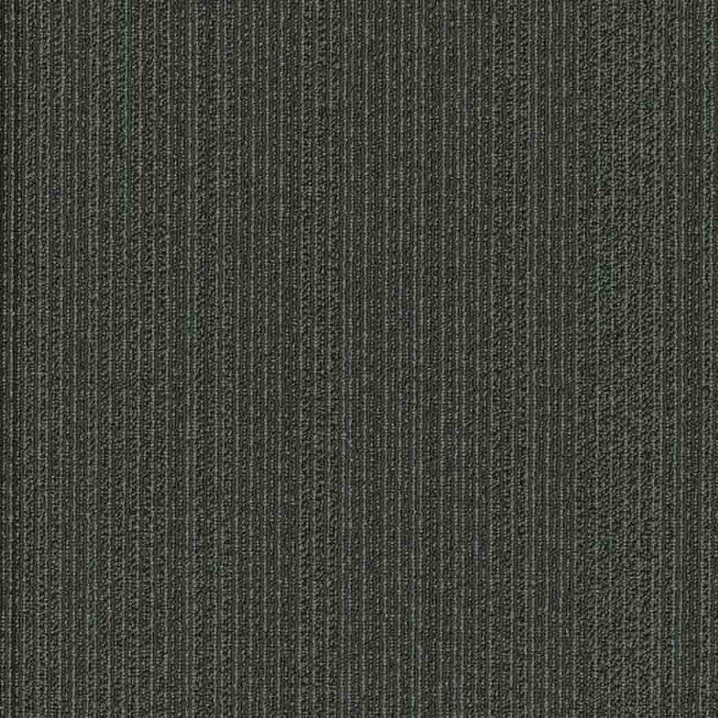 Shaw Philadelphia Commercial Carpet Tile Practical 54924 Rational 24510