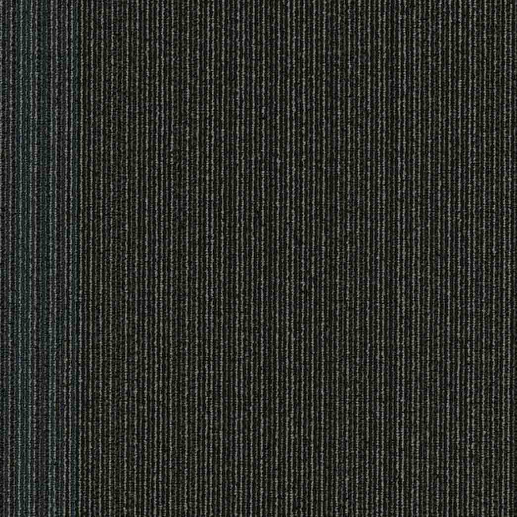 Shaw Philadelphia Commercial Carpet Tile Practical 54924 Realistic 24405