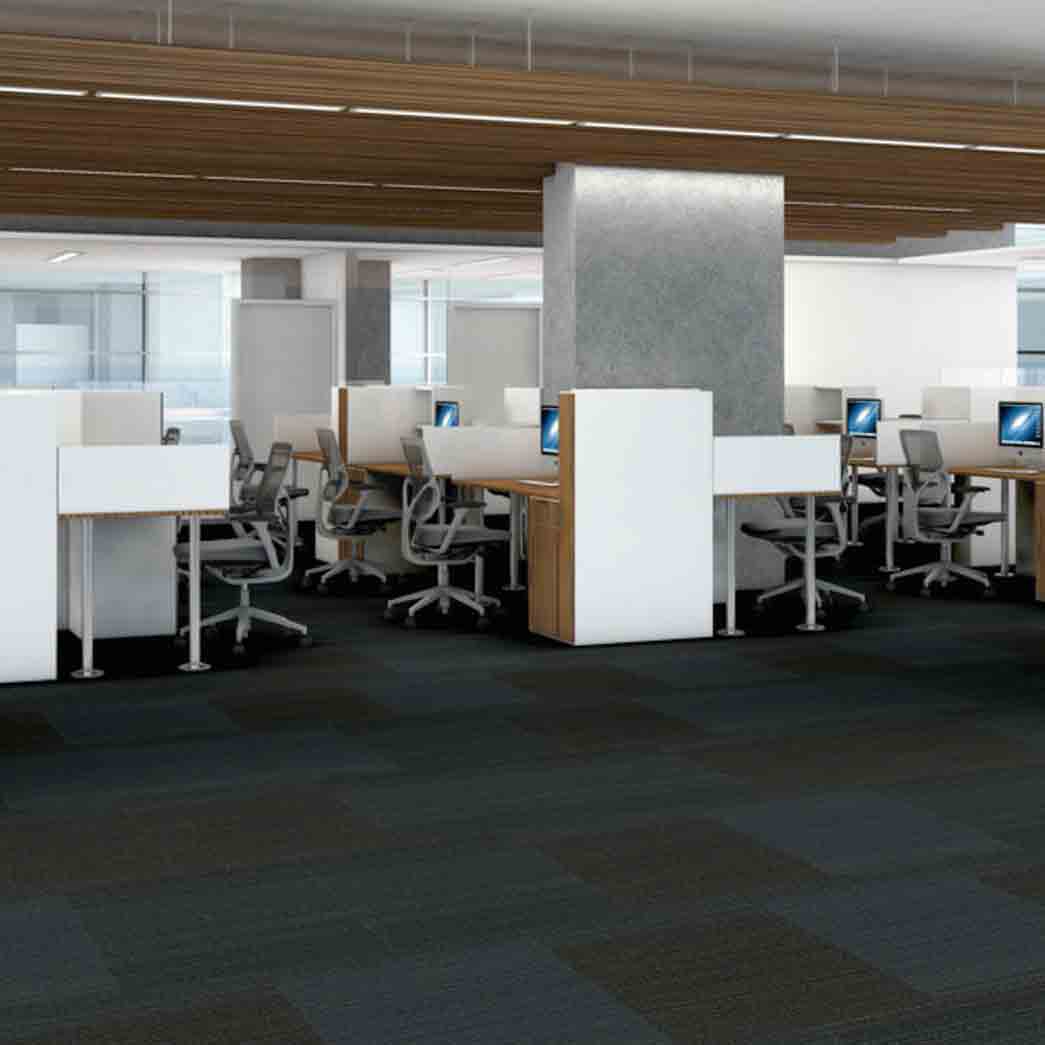 Shaw Philadelphia Commercial Carpet Tile Practical 54924 Realistic 24405 room
