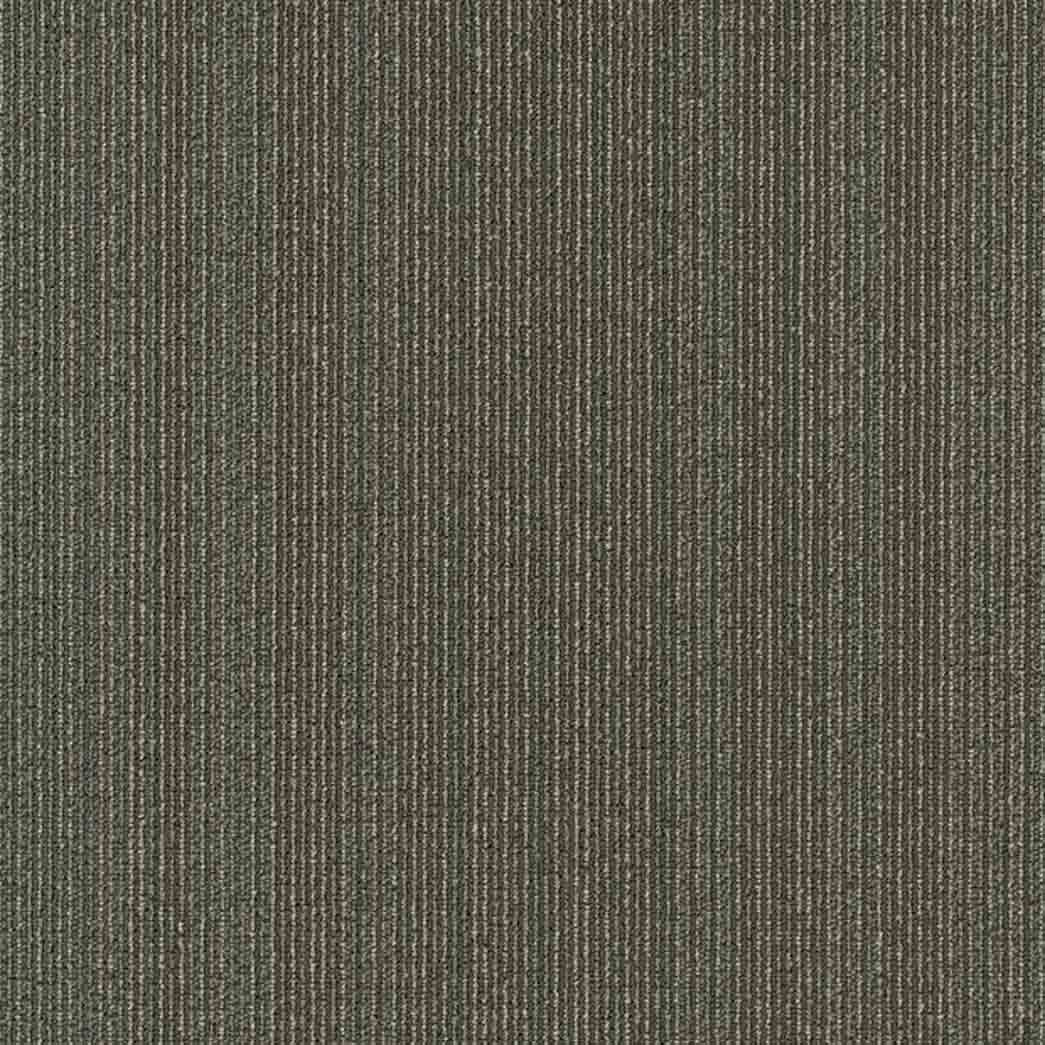 Shaw Philadelphia Commercial Carpet Tile Practical 54924 Sensible 24500
