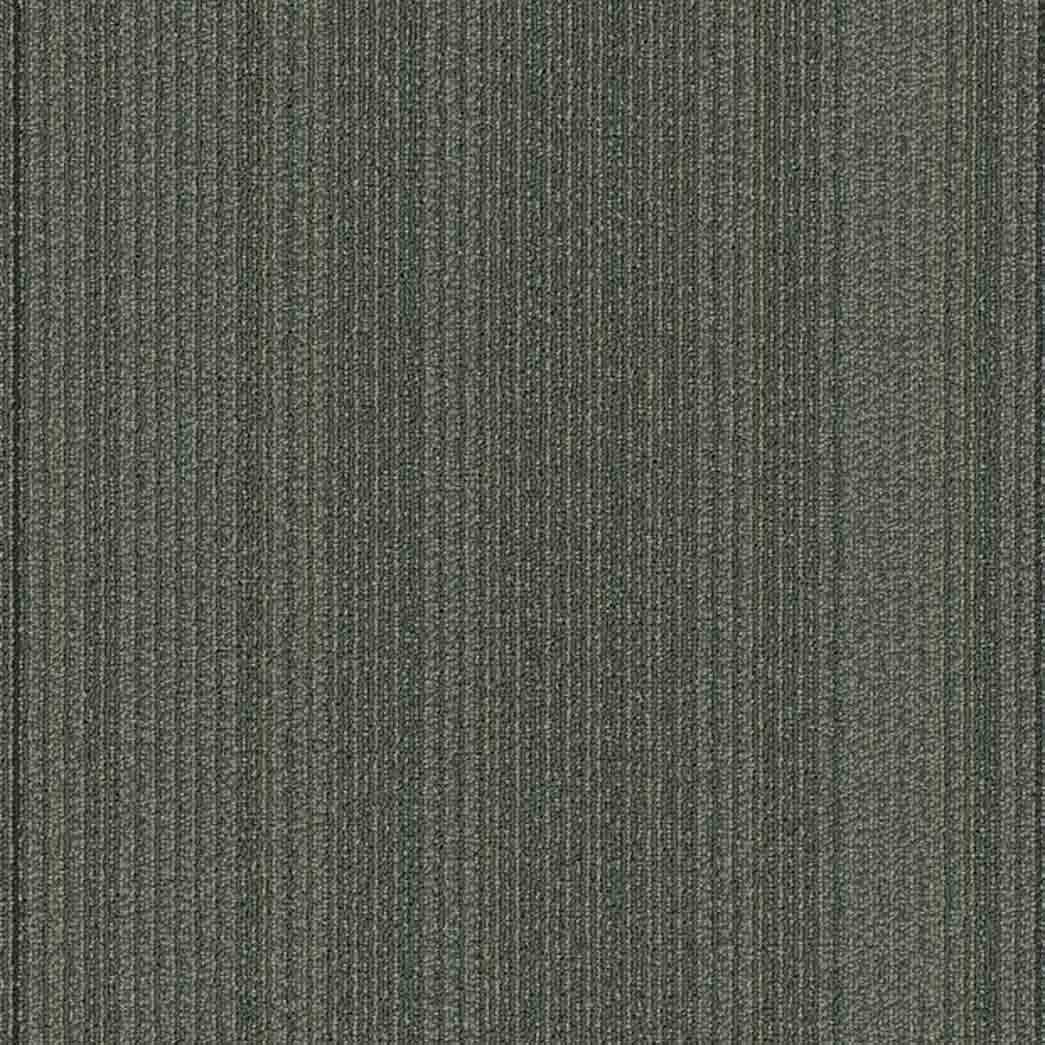 Shaw Philadelphia Commercial Carpet Tile Practical 54924 Systematic 24305