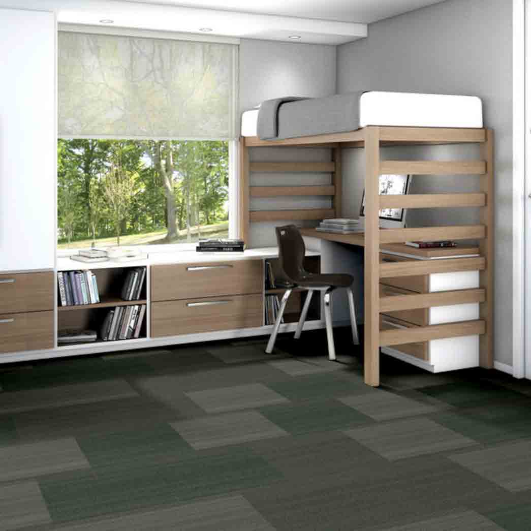 Shaw Philadelphia Commercial Carpet Tile Practical 54924 Systematic 24305 room