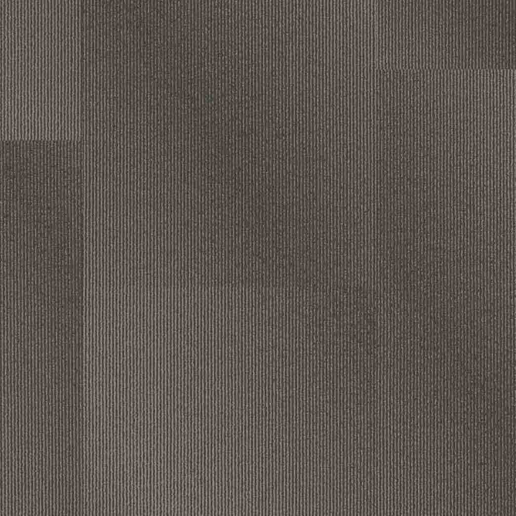 Shaw Philadelphia Commercial Carpet Tile Radiate 54943 Starry 00704