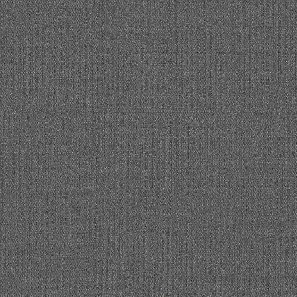 Shaw Philadelphia Commercial Carpet Tile Readapt 54970 Balance 00305