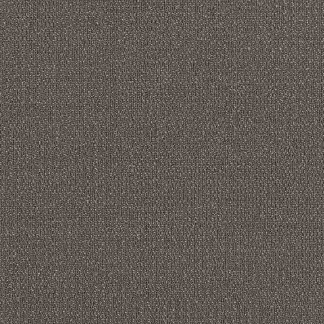 Shaw Philadelphia Commercial Carpet Tile Readapt 54970 Compose 00500