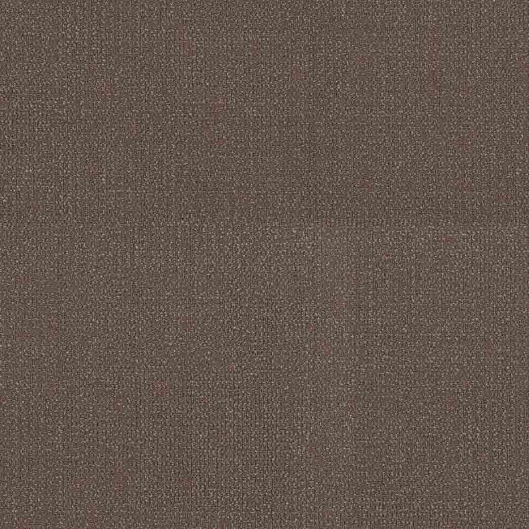 Shaw Philadelphia Commercial Carpet Tile Readapt 54970 Conform 00800