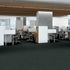 Shaw Philadelphia Commercial Carpet Tile Readapt 54970 Connect 00300 room