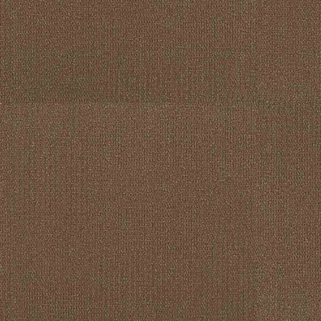 Shaw Philadelphia Commercial Carpet Tile Readapt 54970 Evolve 00200