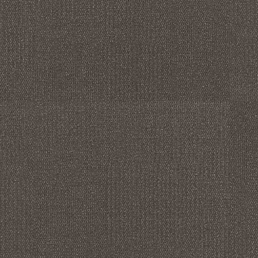 Shaw Philadelphia Commercial Carpet Tile Readapt 54970 Mature 00710