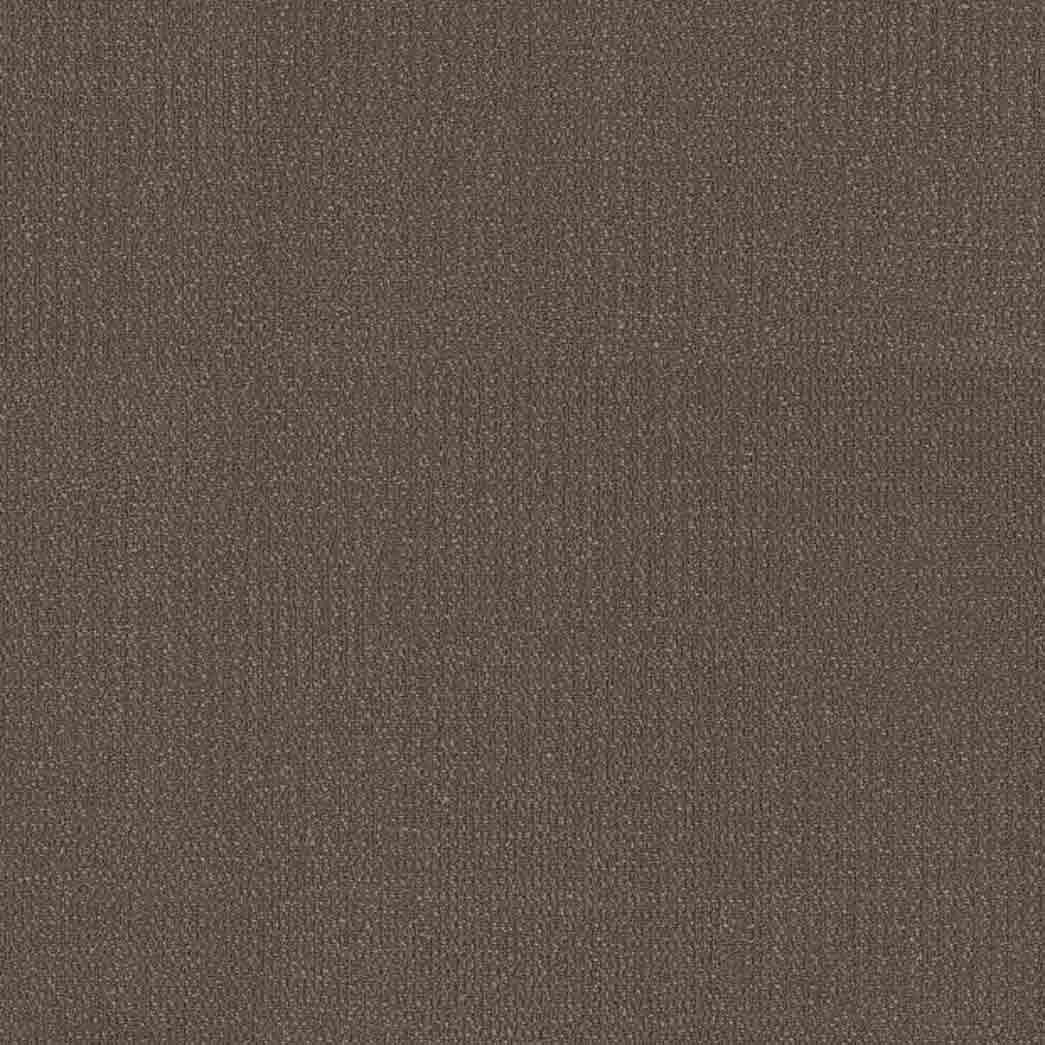 Shaw Philadelphia Commercial Carpet Tile Readapt 54970 Shift 00700