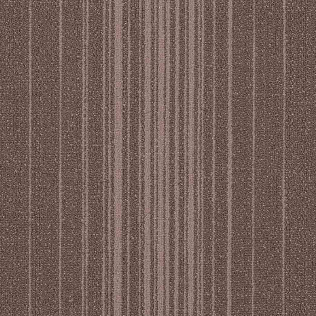 Shaw Philadelphia Commercial Carpet Tile Realign 54970 Conform 00800