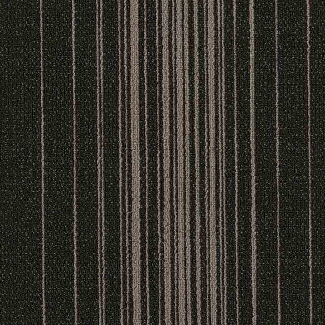 Shaw Philadelphia Commercial Carpet Tile Realign 54970 Covert 00520