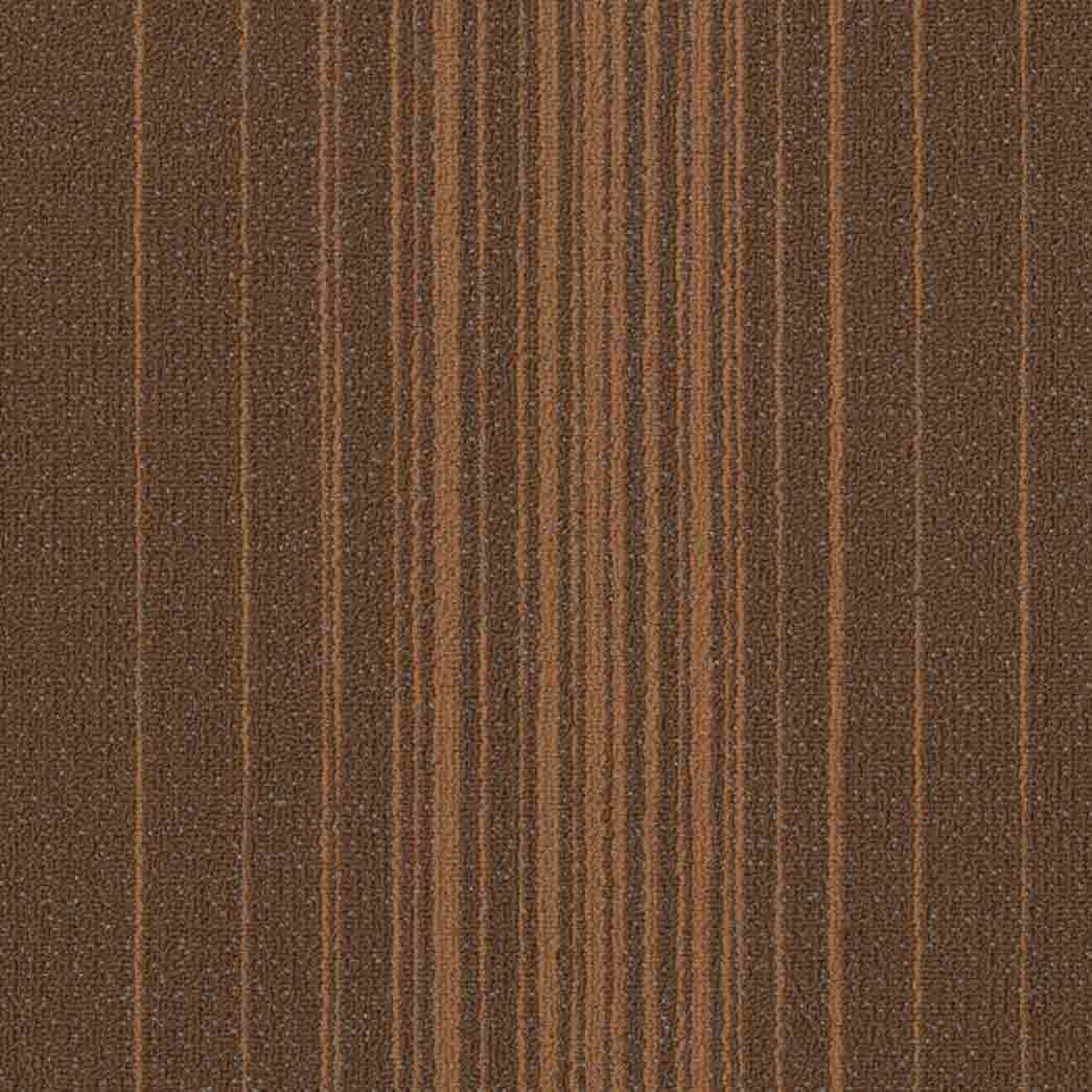 Shaw Philadelphia Commercial Carpet Tile Realign 54970 Create 00600