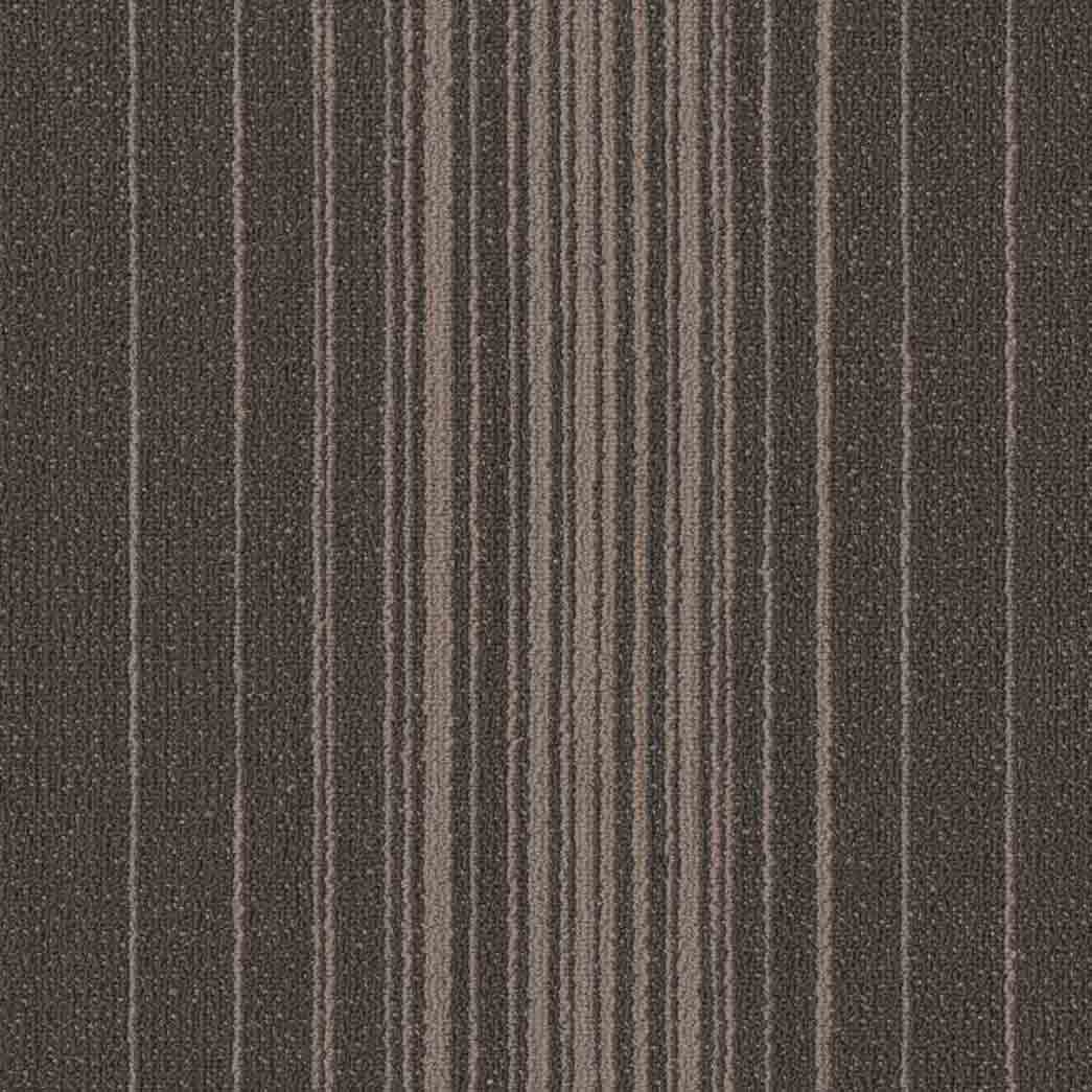 Shaw Philadelphia Commercial Carpet Tile Realign 54970 Develop 00525