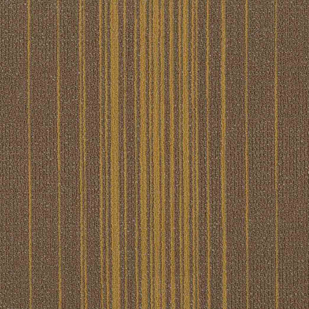 Shaw Philadelphia Commercial Carpet Tile Realign 54970 Evolve 00200
