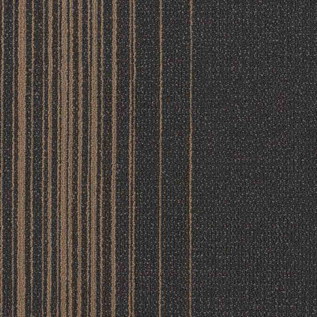 Shaw Philadelphia Commercial Carpet Tile Realign 54970 Modify 00510