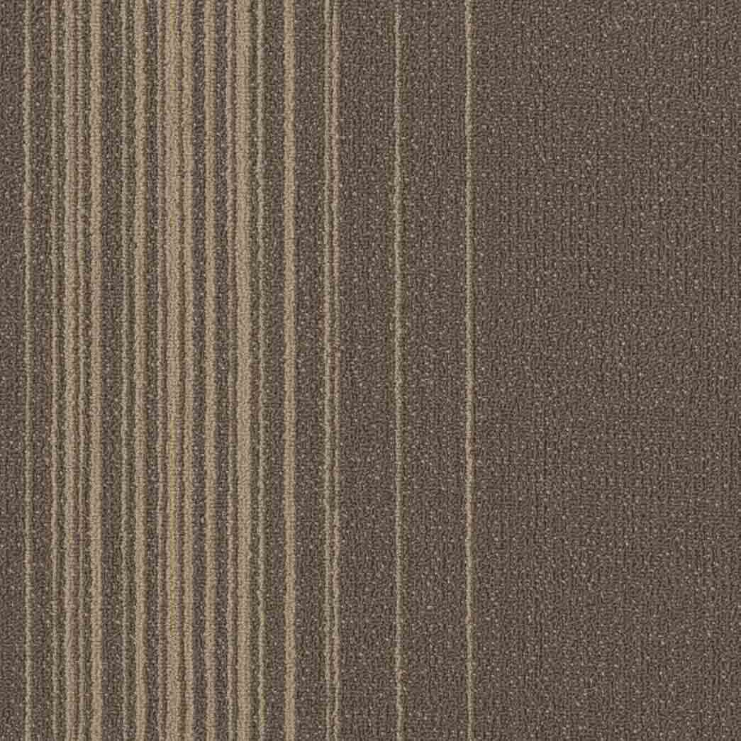 Shaw Philadelphia Commercial Carpet Tile Realign 54970 Shift 00700