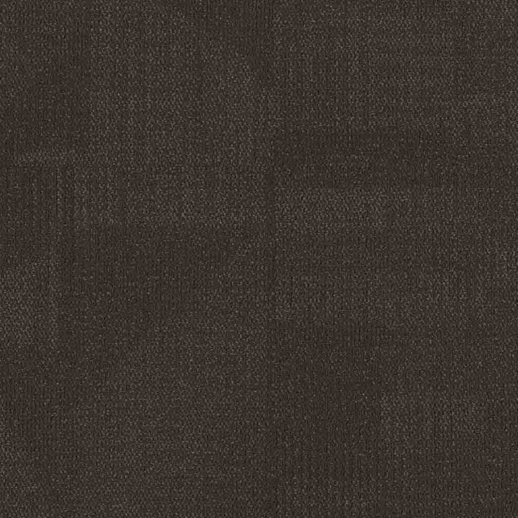 Shaw Philadelphia Commercial Carpet Tile Reemerge 54972 Alter 00705