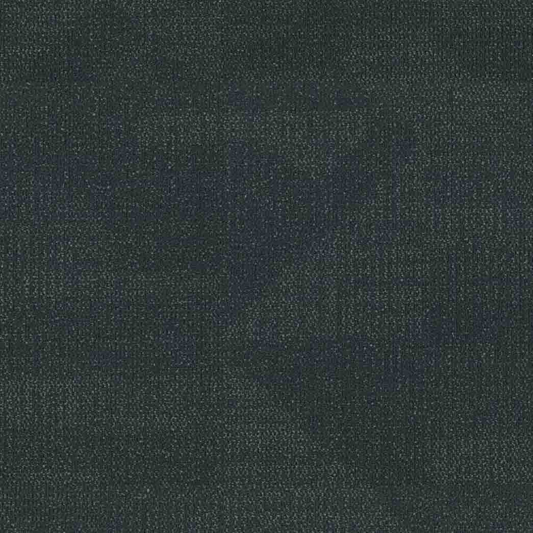 Shaw Philadelphia Commercial Carpet Tile Reemerge 54972 Connect 00300