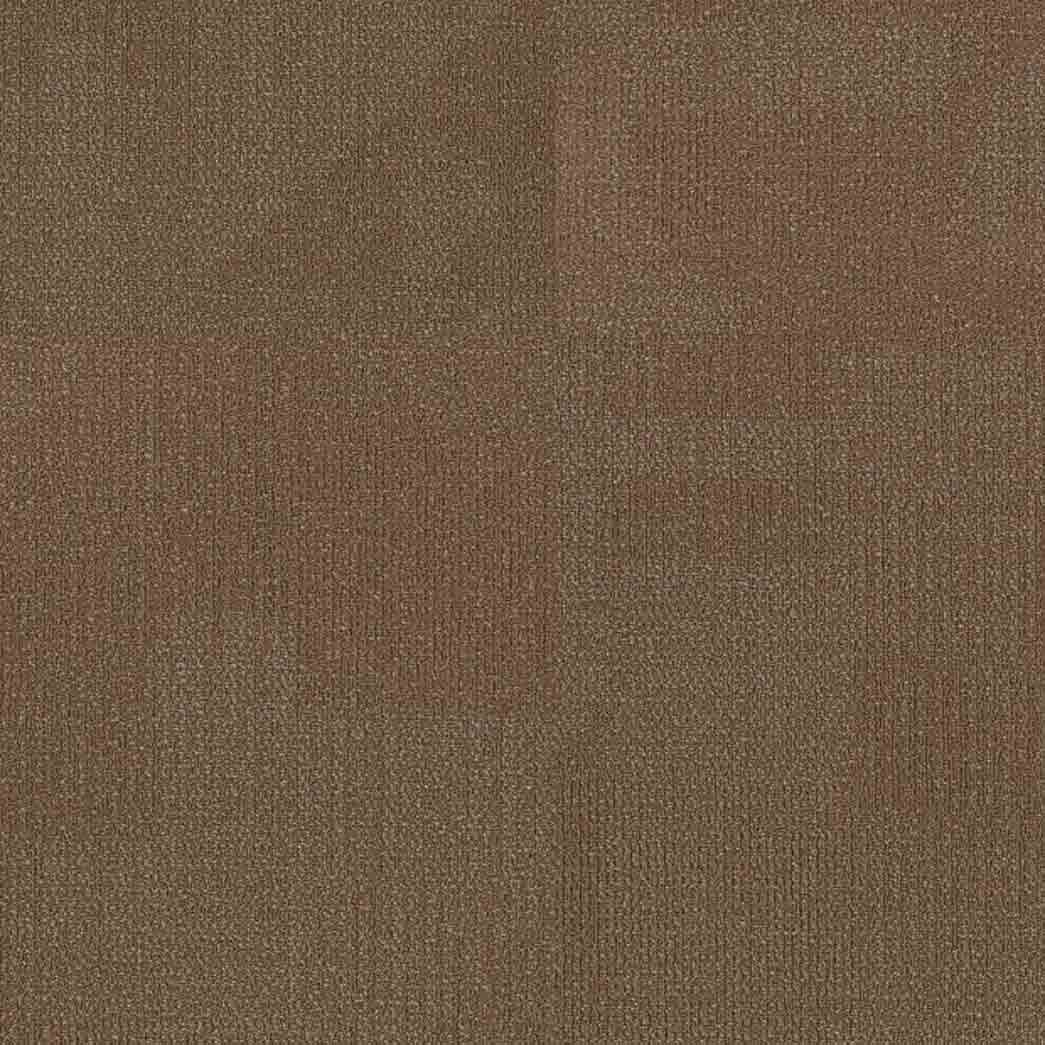 Shaw Philadelphia Commercial Carpet Tile Reemerge 54972 Evolve 00200