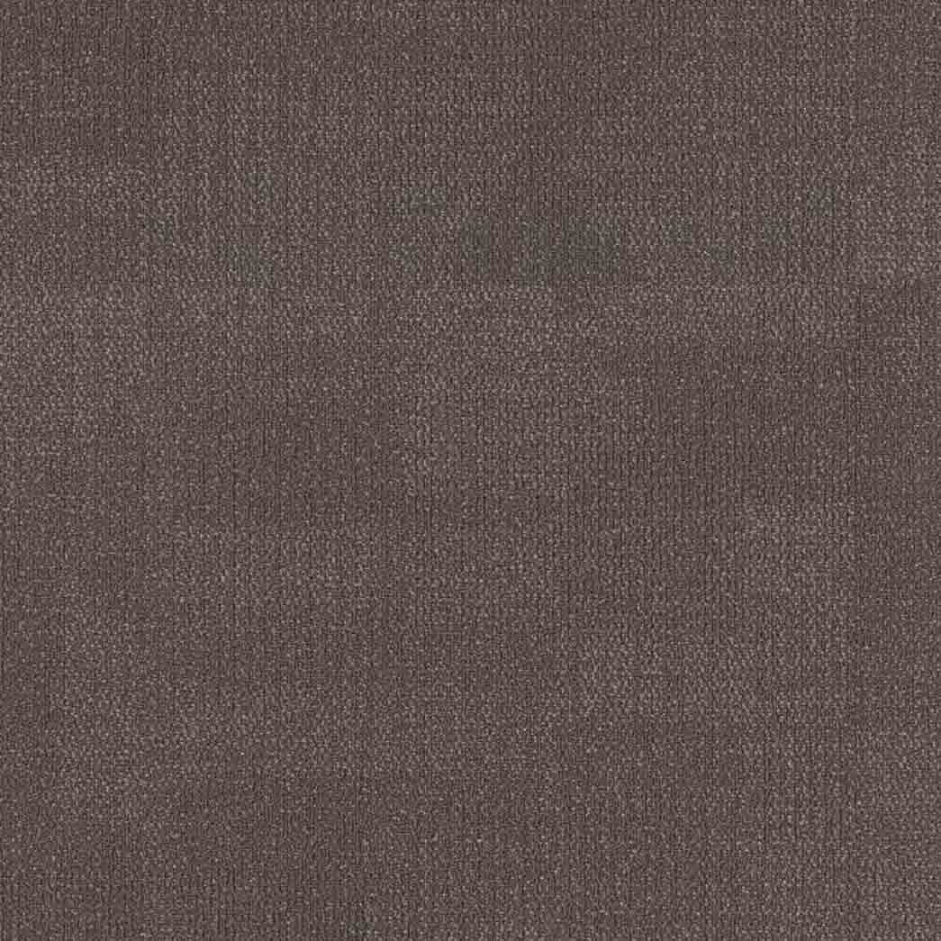 Shaw Philadelphia Commercial Carpet Tile Reemerge 54972 Mature 00710