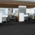 Shaw Philadelphia Commercial Carpet Tile Reemerge 54972 Modify 00510 room