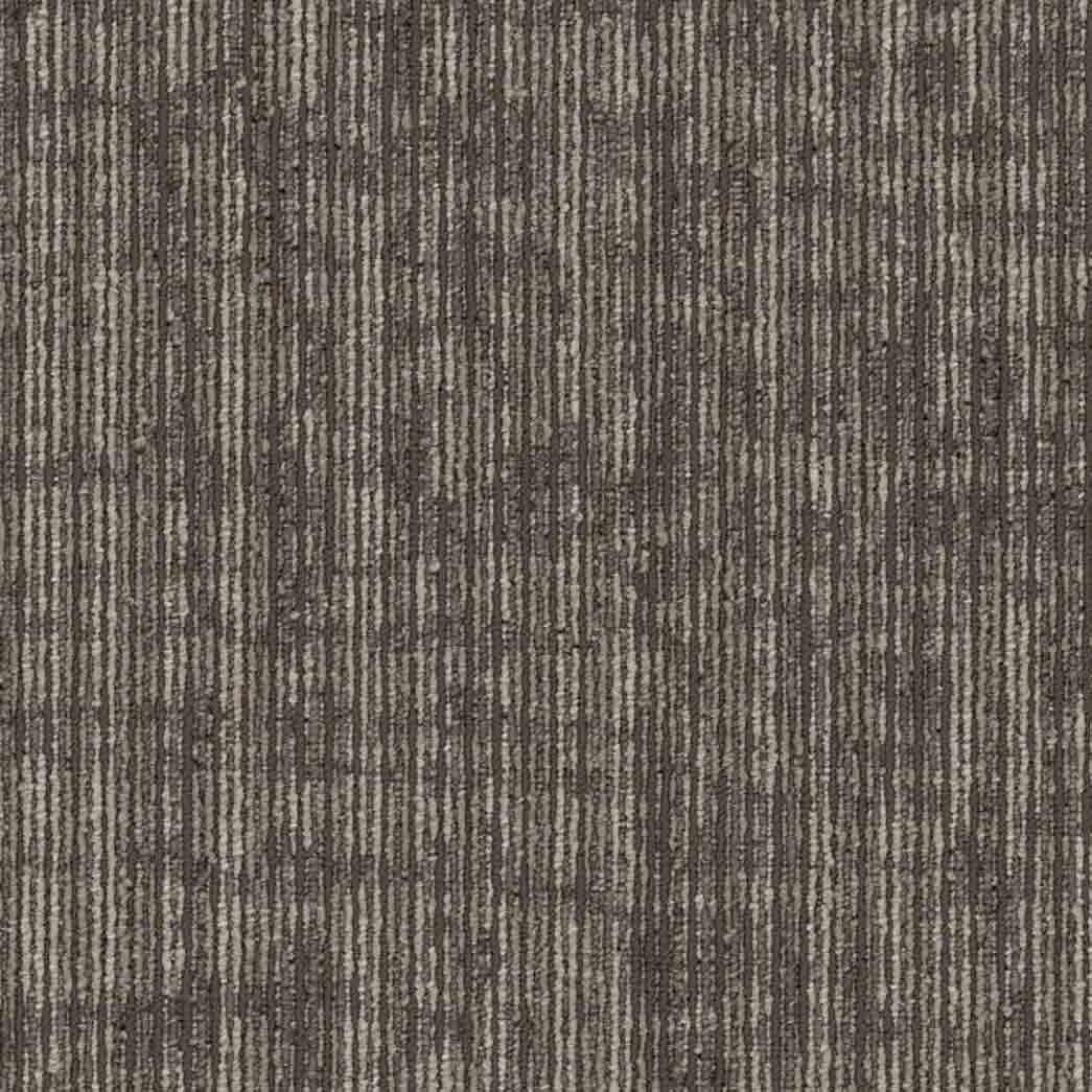 Shaw Philadelphia Commercial Carpet Tile Rise Up 54997 Empower 00200