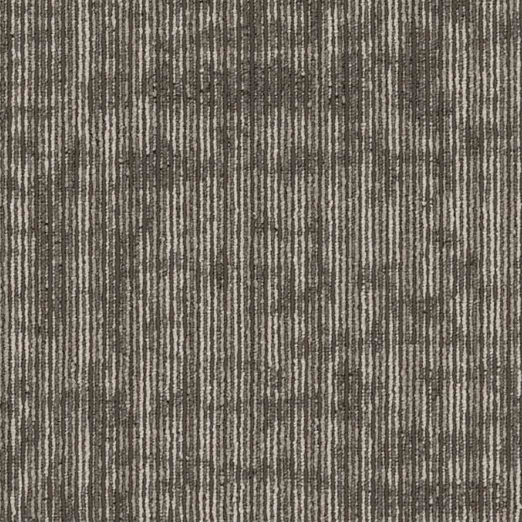 Shaw Philadelphia Commercial Carpet Tile Rise Up 54997 Encourage 00100