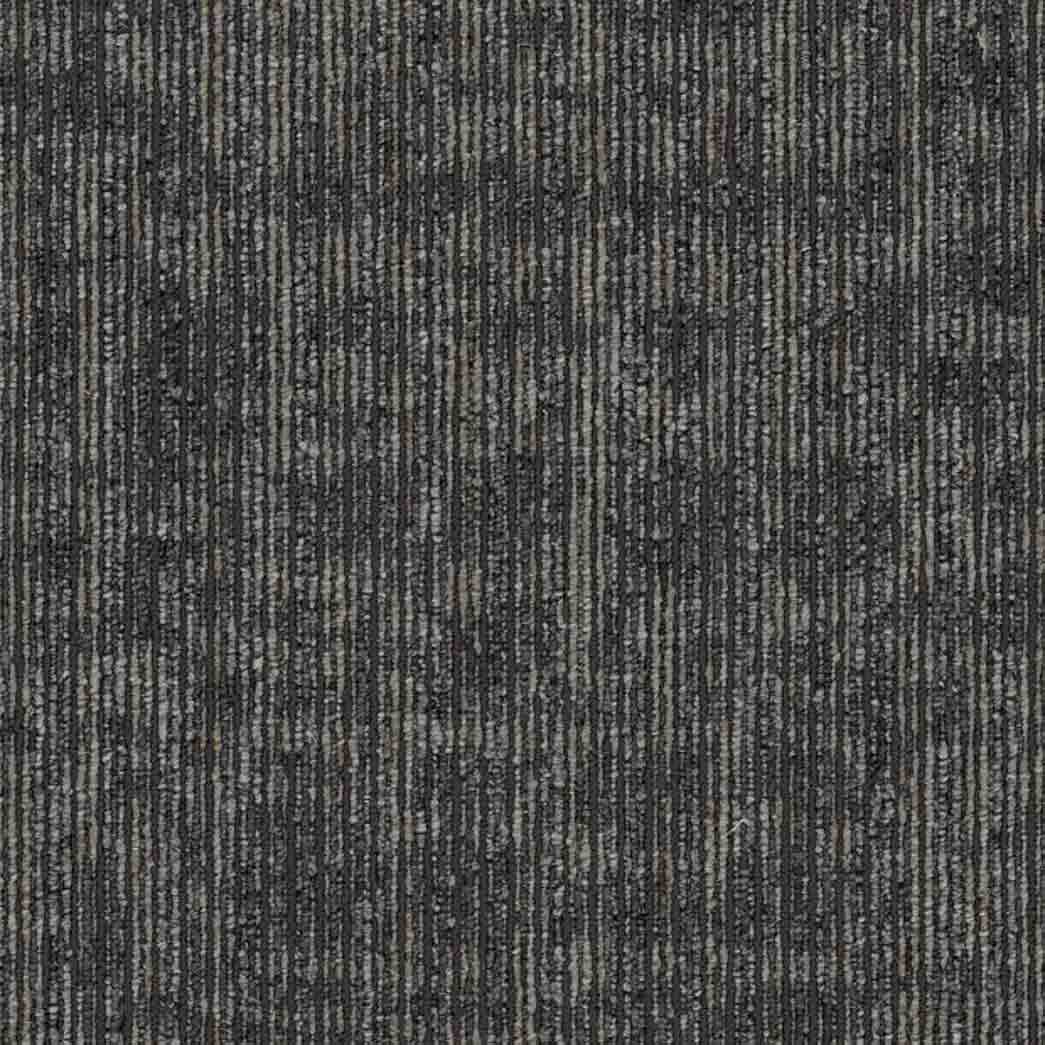 Shaw Philadelphia Commercial Carpet Tile Rise Up 54997 Endurance 00500