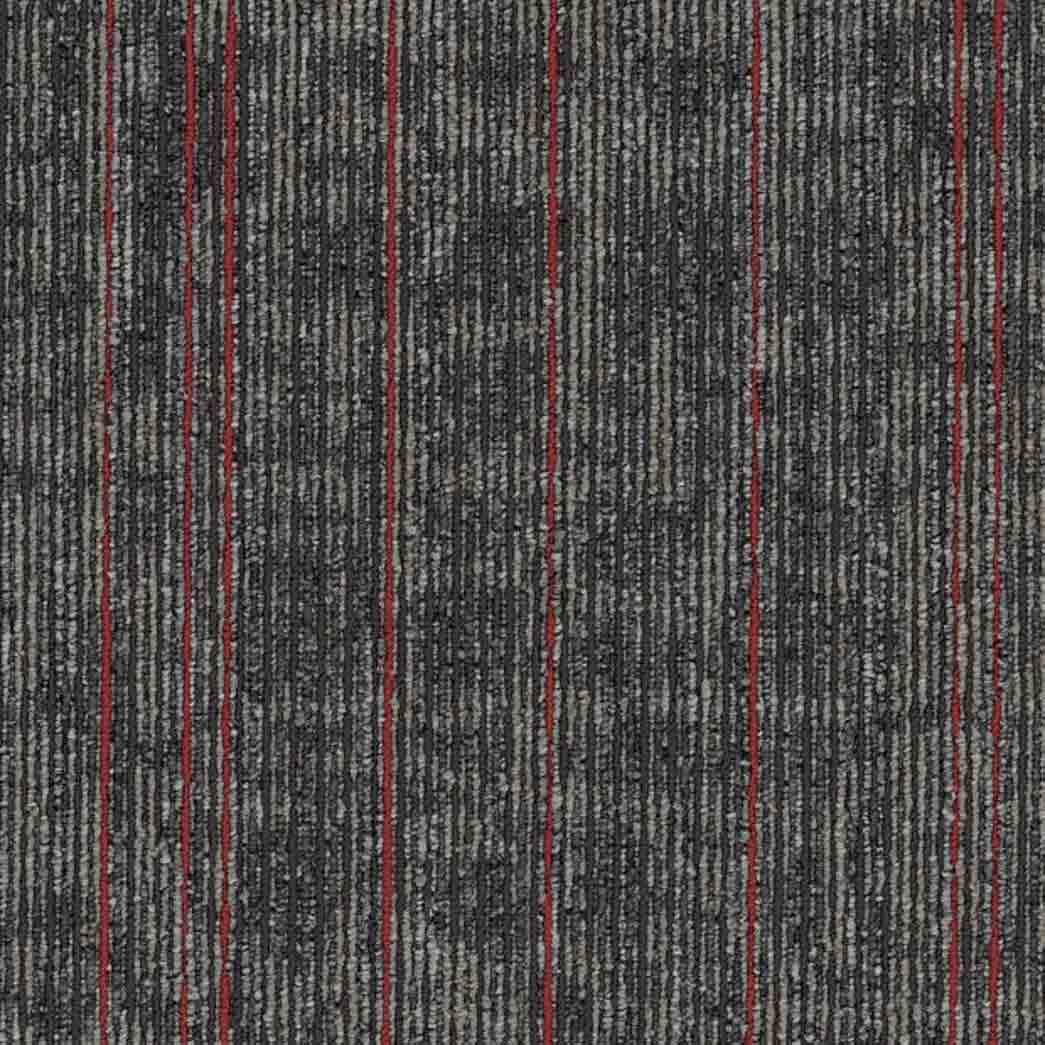 Shaw Philadelphia Commercial Carpet Tile Rise Up 54997 Fortitude 00508