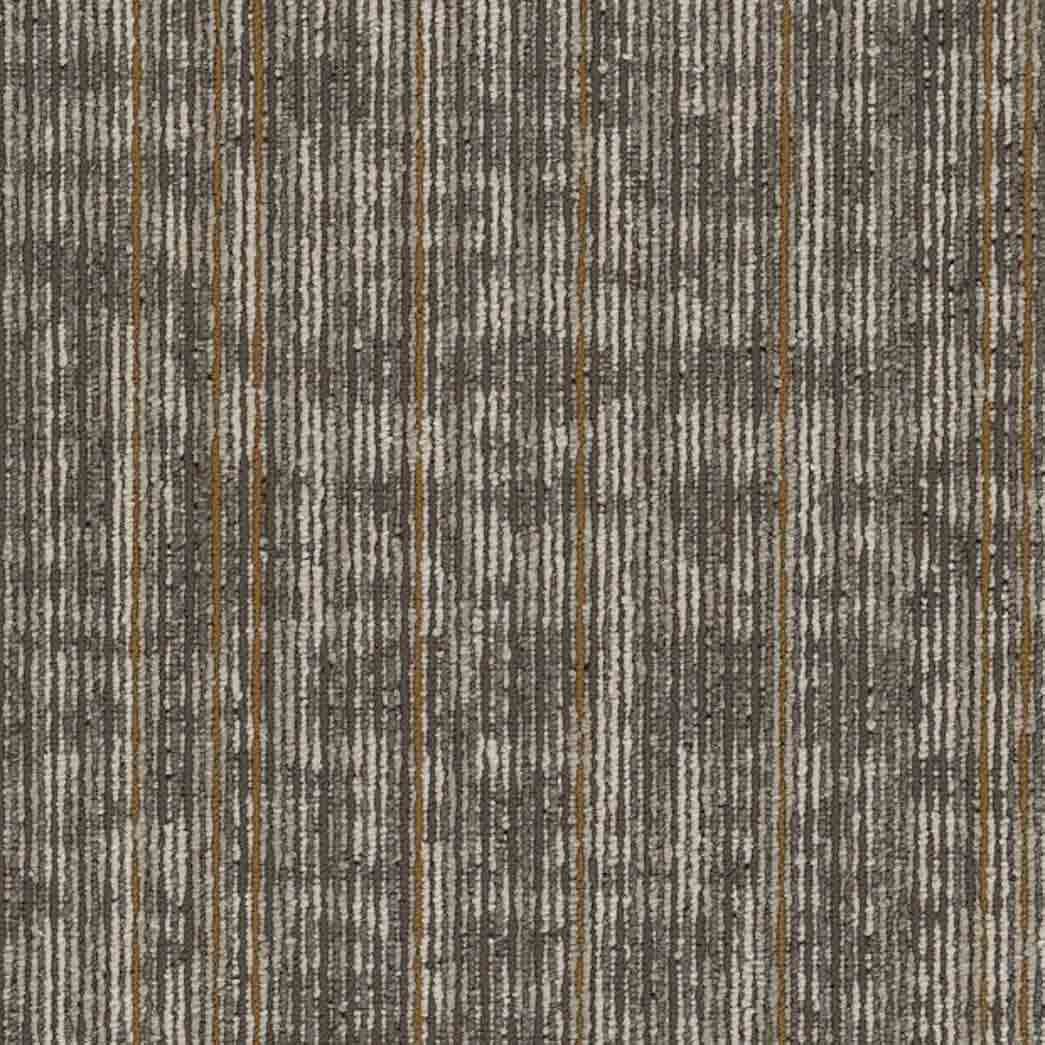 Shaw Philadelphia Commercial Carpet Tile Rise Up 54997 Inspire 00102