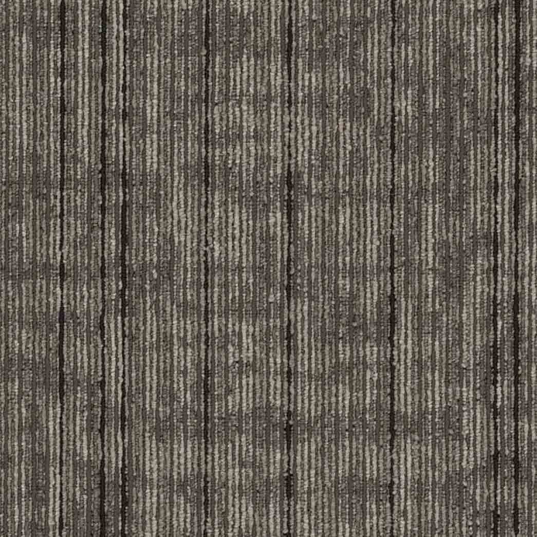 Shaw Philadelphia Commercial Carpet Tile Rise Up 54997 Invest 00205