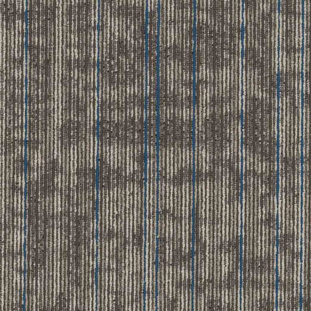 Shaw Philadelphia Commercial Carpet Tile Rise Up 54997 Magnify 00104