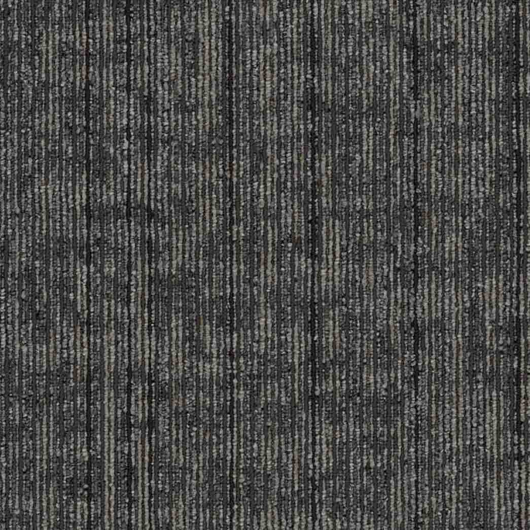 Shaw Philadelphia Commercial Carpet Tile Rise Up 54997 Patience 00505