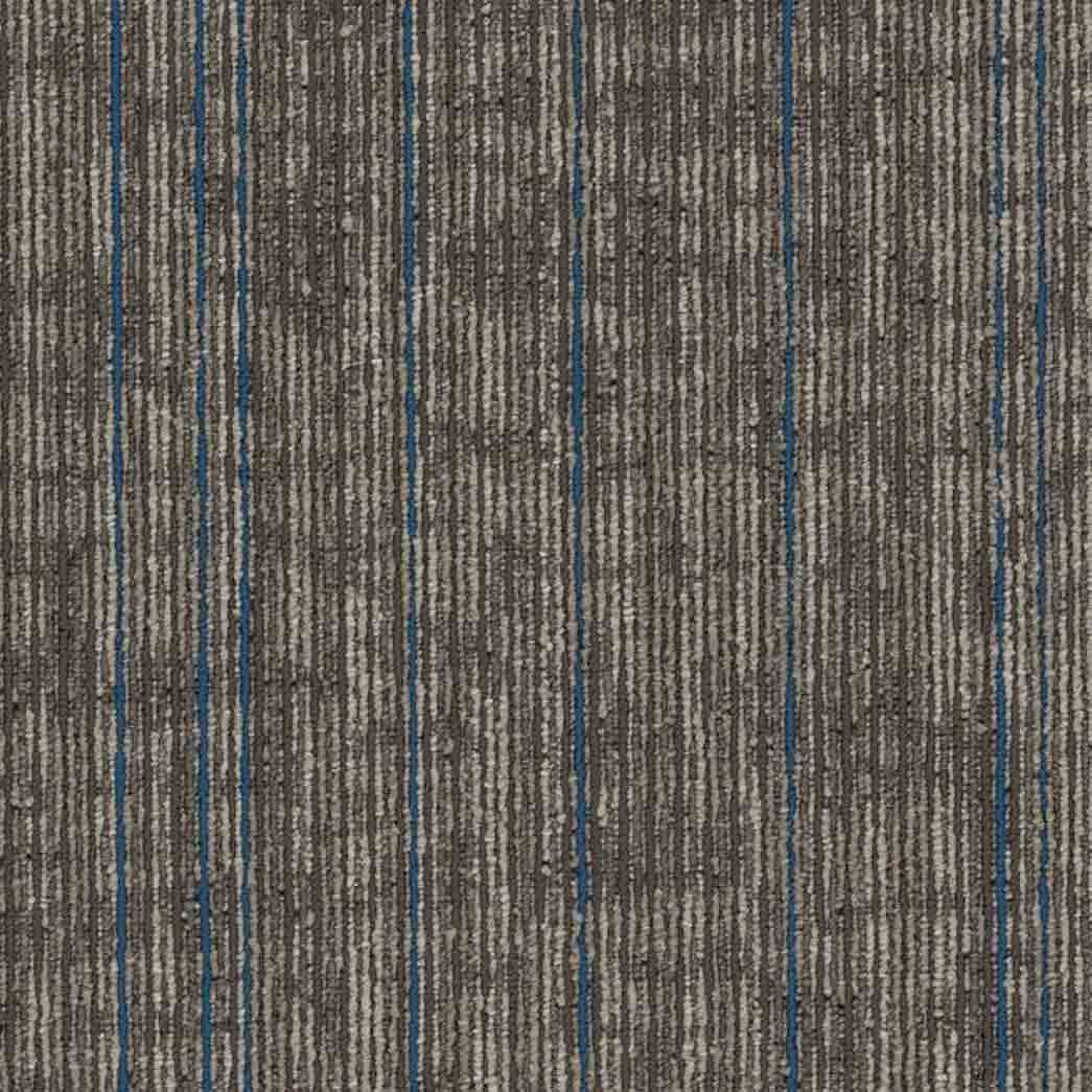 Shaw Philadelphia Commercial Carpet Tile Rise Up 54997 Support 00204