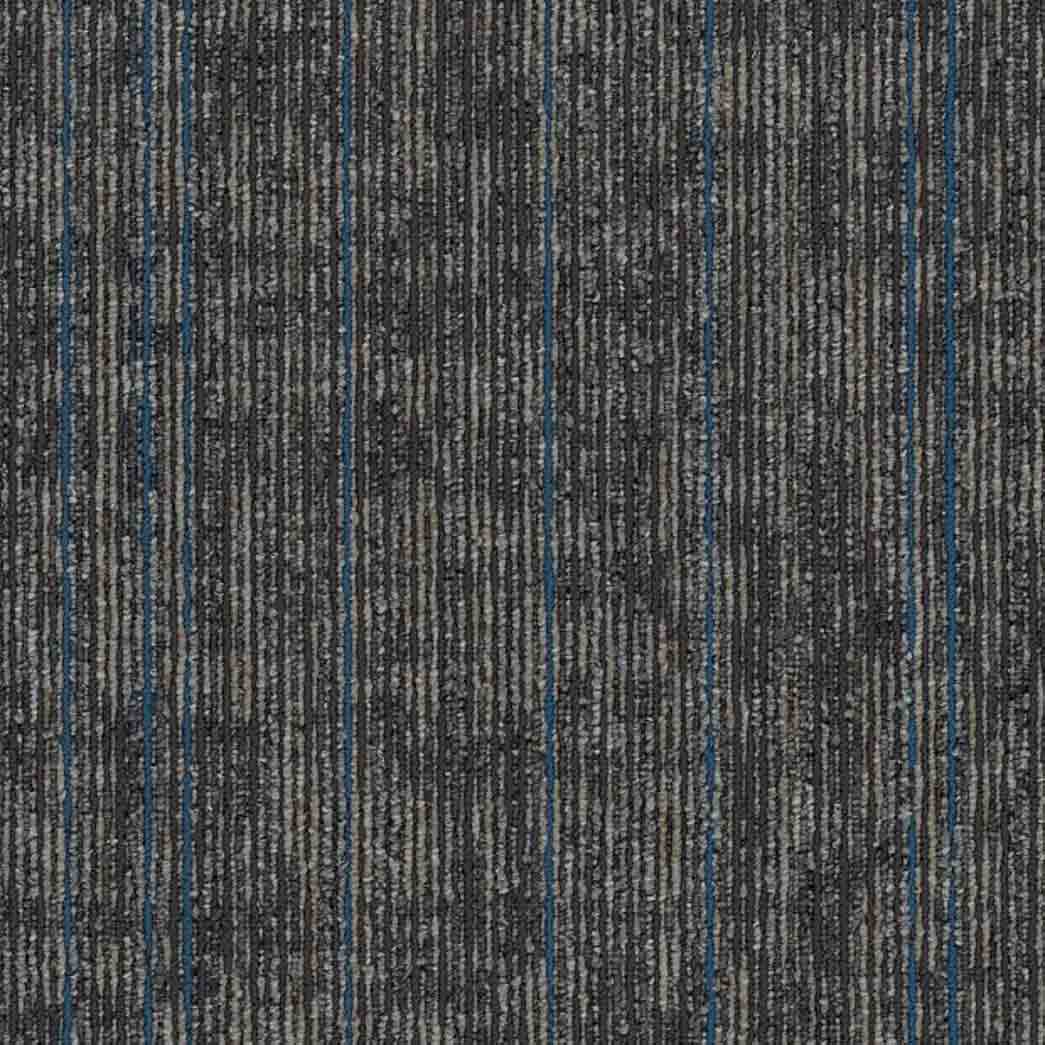 Shaw Philadelphia Commercial Carpet Tile Rise Up 54997 Sustain 00504