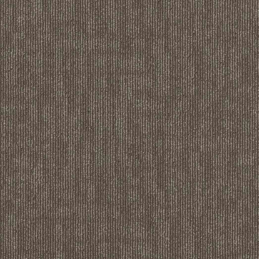 Shaw Philadelphia Commercial Carpet Tile Semblance 54949 Alliance 00700