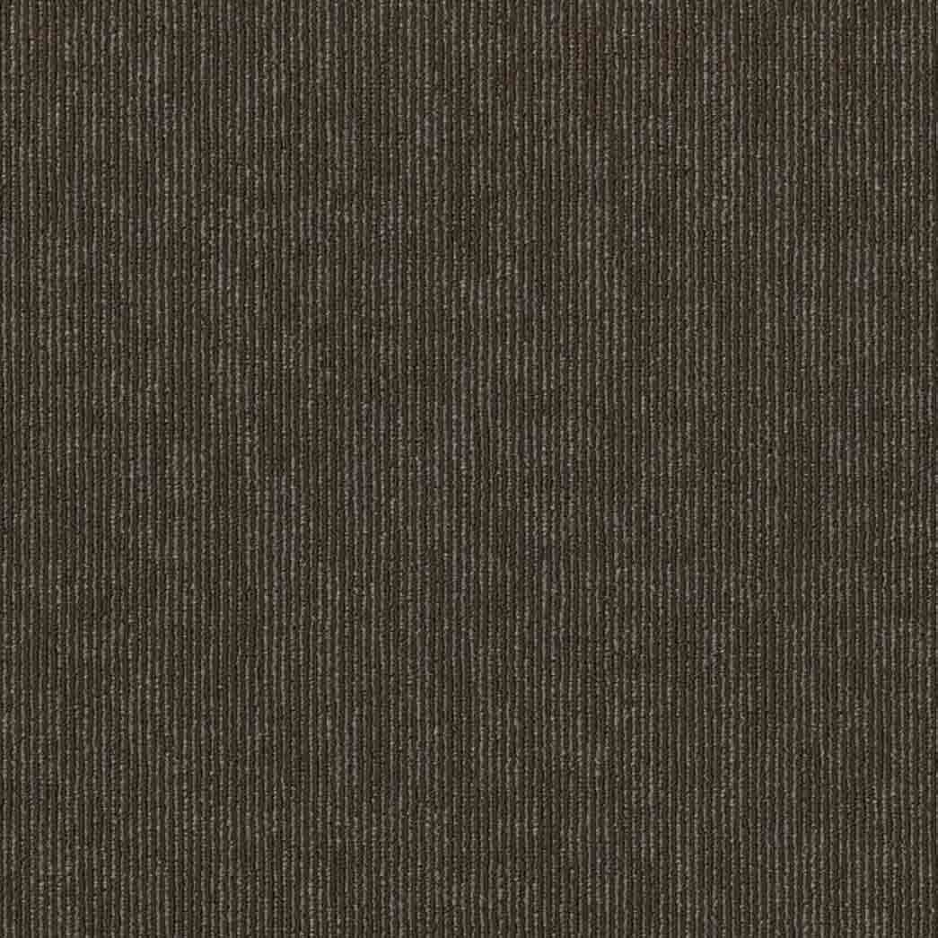 Shaw Philadelphia Commercial Carpet Tile Semblance 54949 Comparison 00705